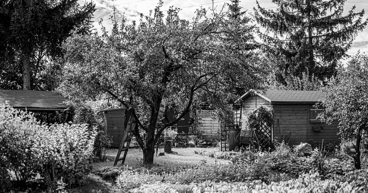 Gartenhaus Baugenehmigung: Kosten und Fristen