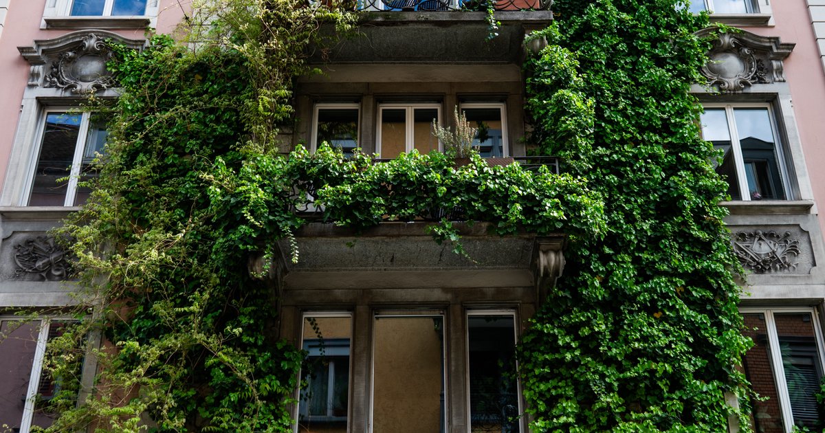 Altbau-Fassade dämmen: Besonderheiten beachten