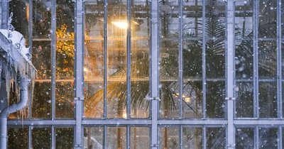 Wintergarten-Baugenehmigung: Was Sie wissen müssen